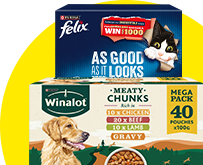 Month-End-Madness-Pets-Offers