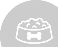 dog-food