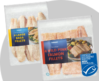 fish-fillets