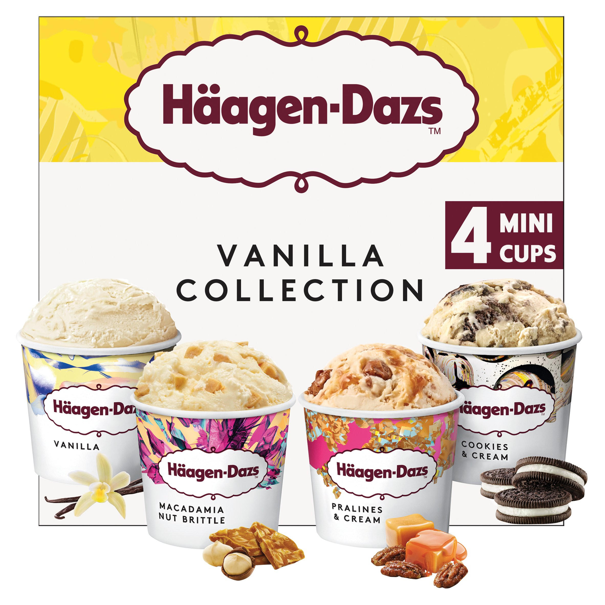 Hagen Daz Ice Cream Recipe | Dandk Organizer