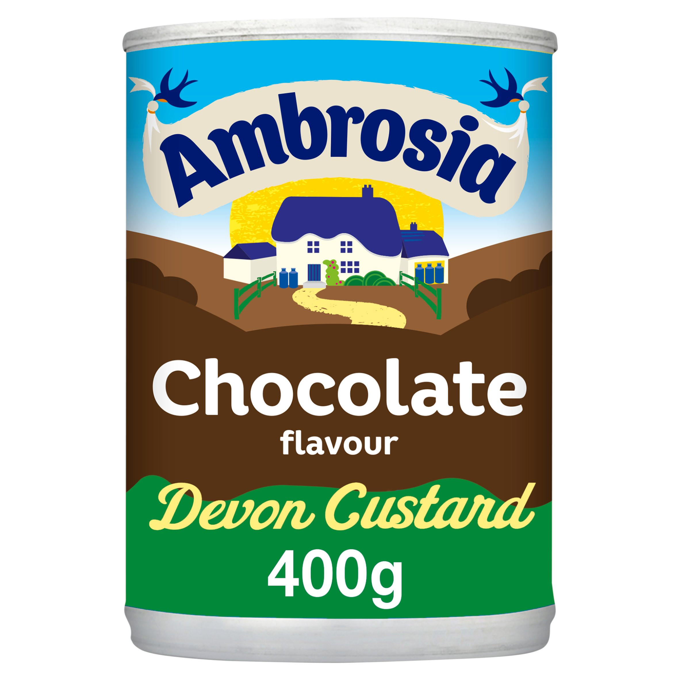 Ambrosia Chocolate Custard Dessert Snack Pot