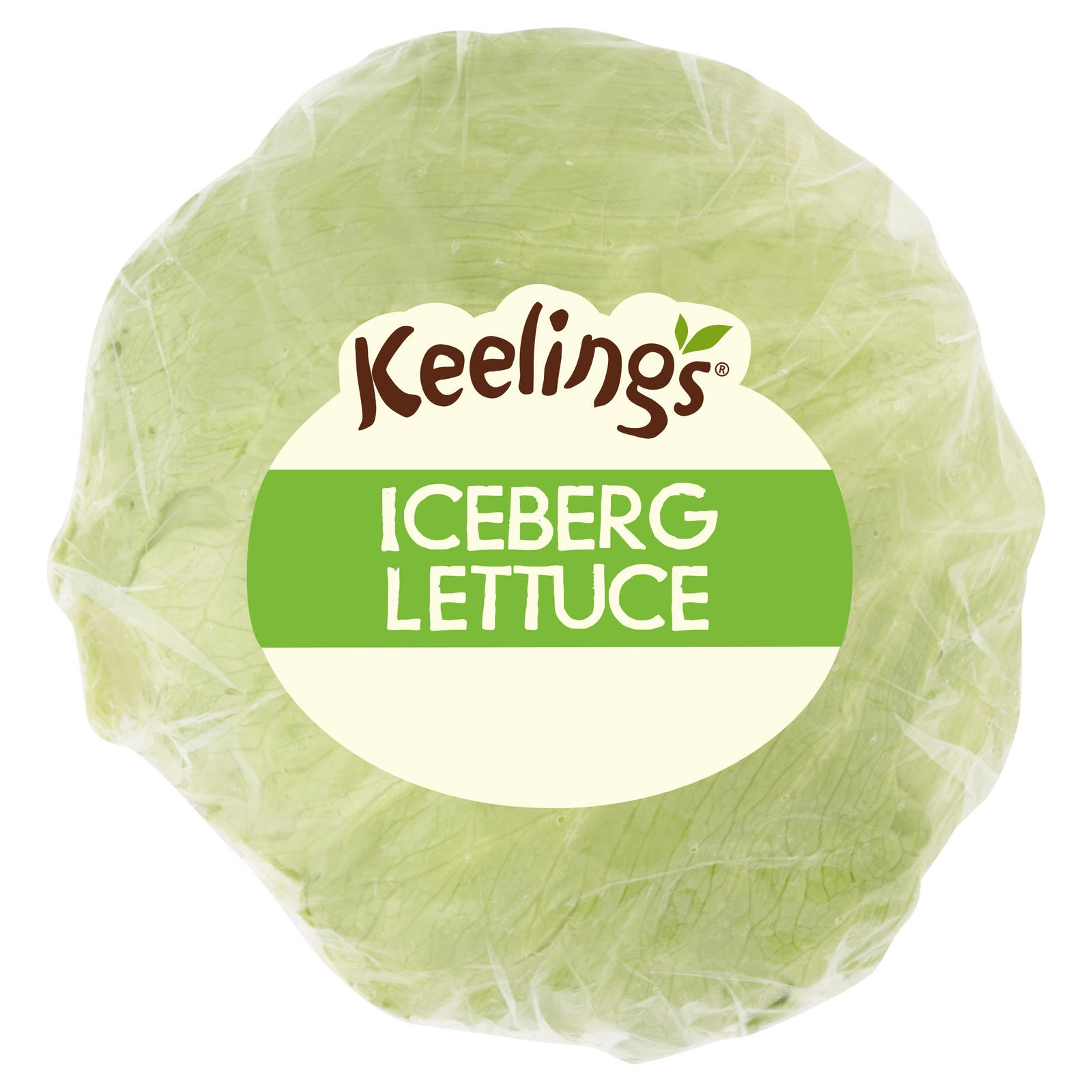 Keelings Iceberg Lettuce
