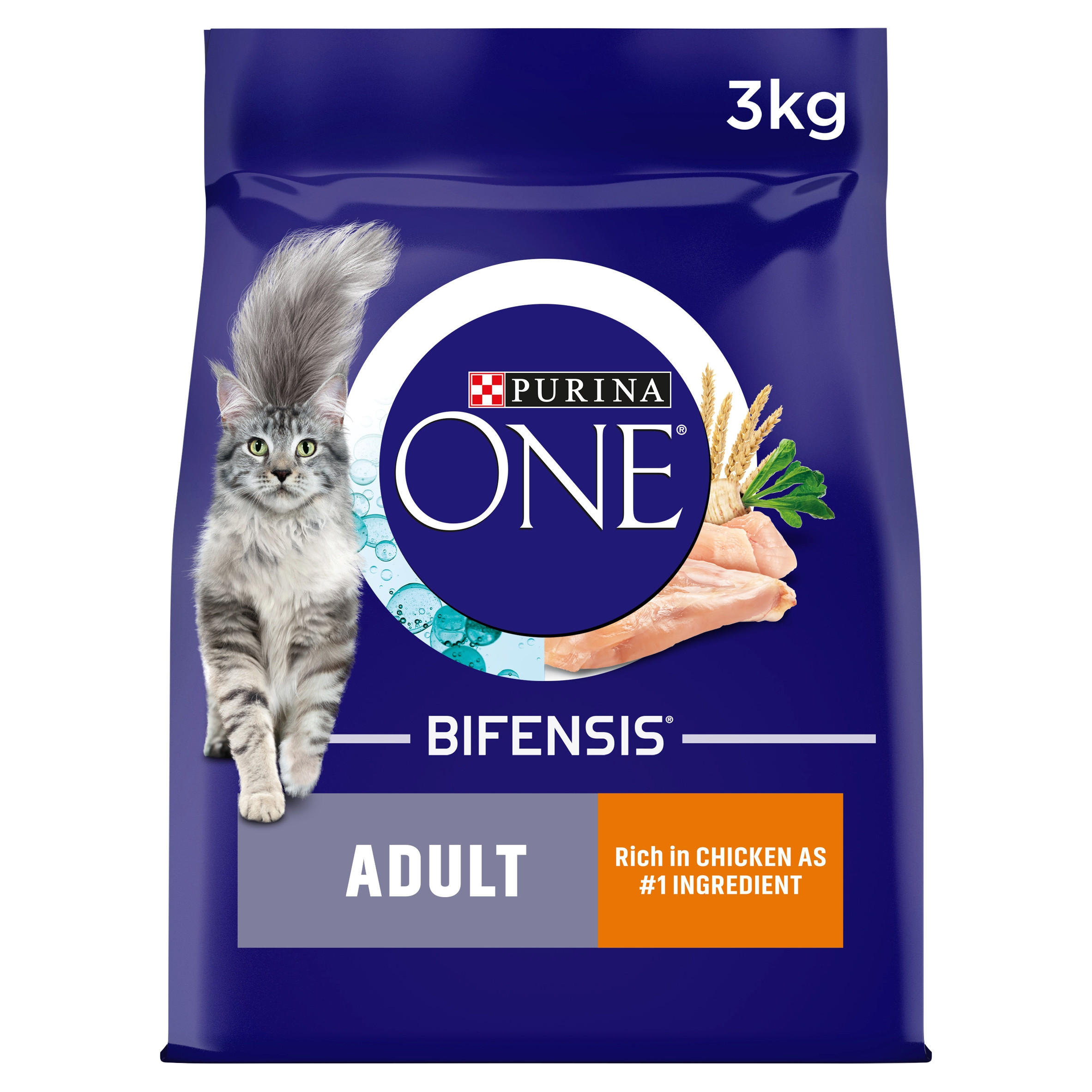 PURINA ONE Kitten Chicken Dry Cat Food