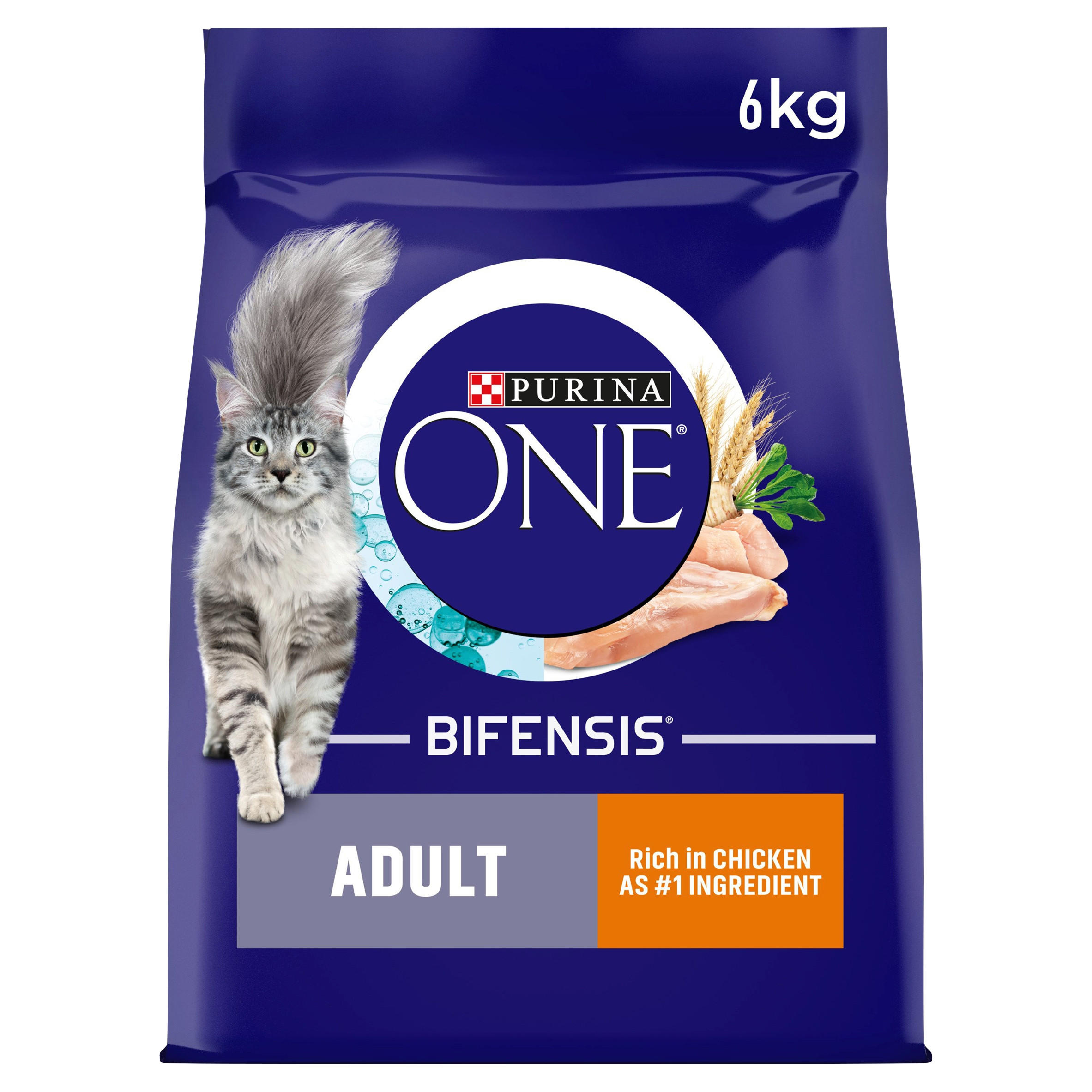 Purina One Senior 7+ Bifensis Chicken Dry Cat Food