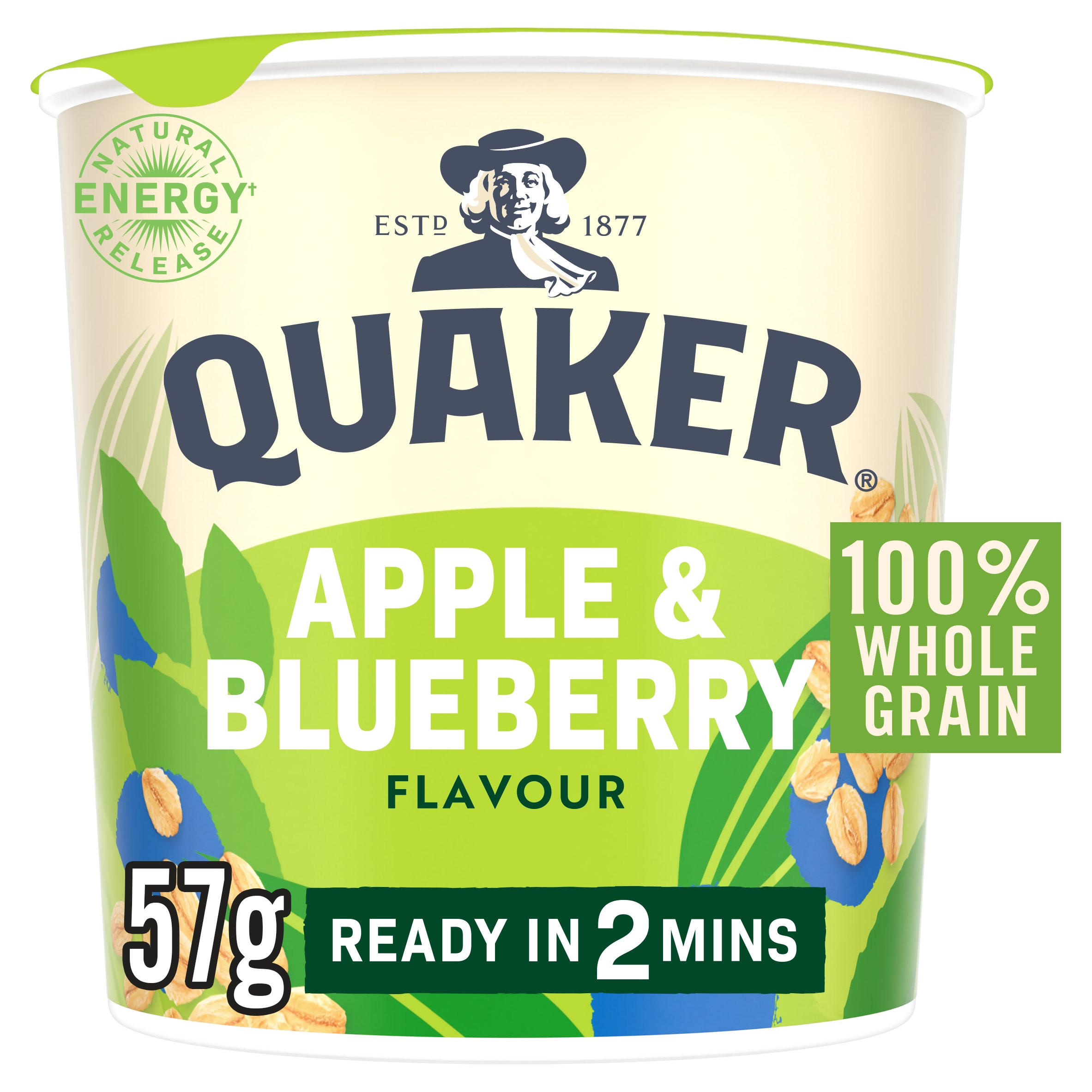 Quaker Oat So Simple Apple & Blueberry Porridge Pot 57g, folic acid free
