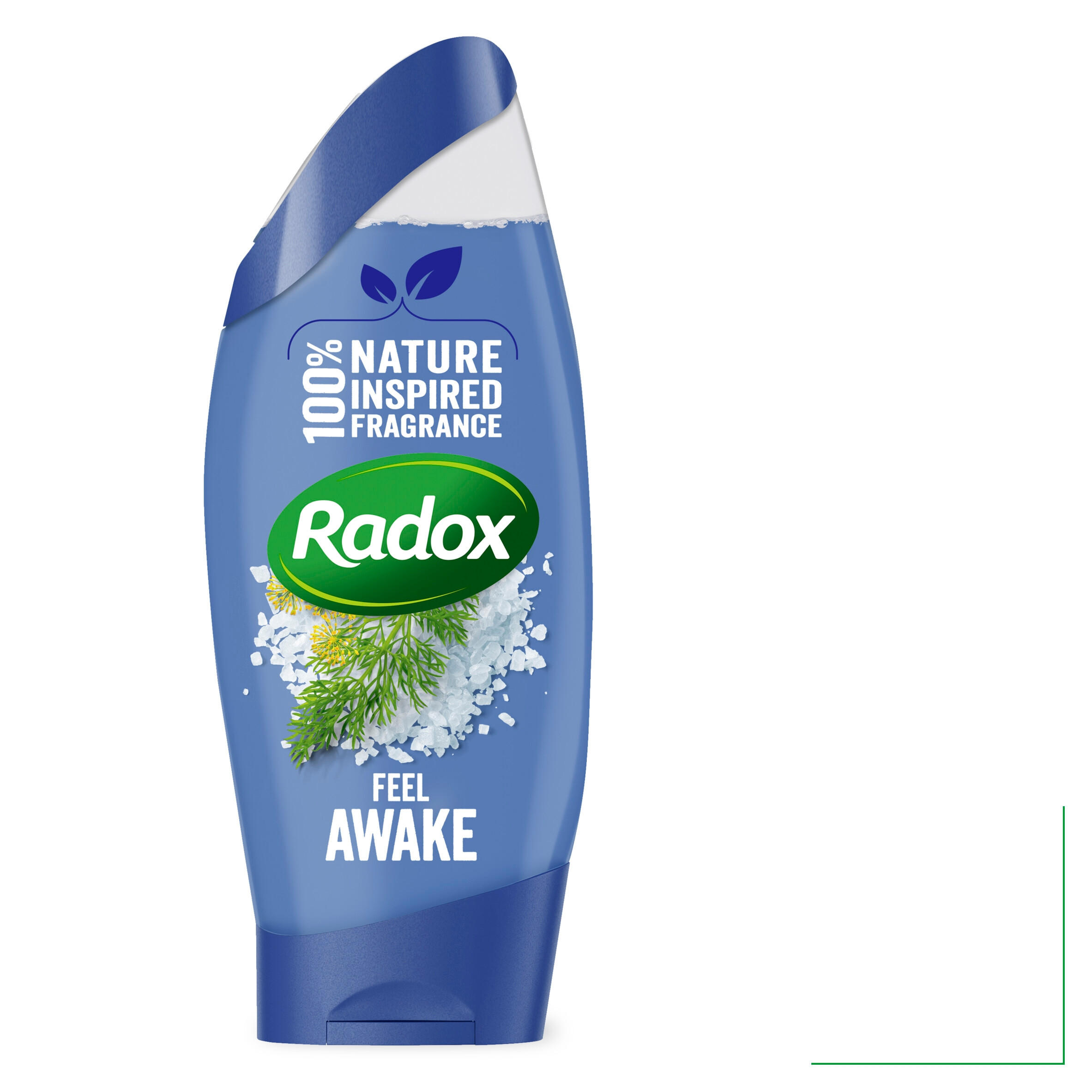 Radox Feel Awake 2in1 Shower Gel & Shampoo 250 ml Toiletries