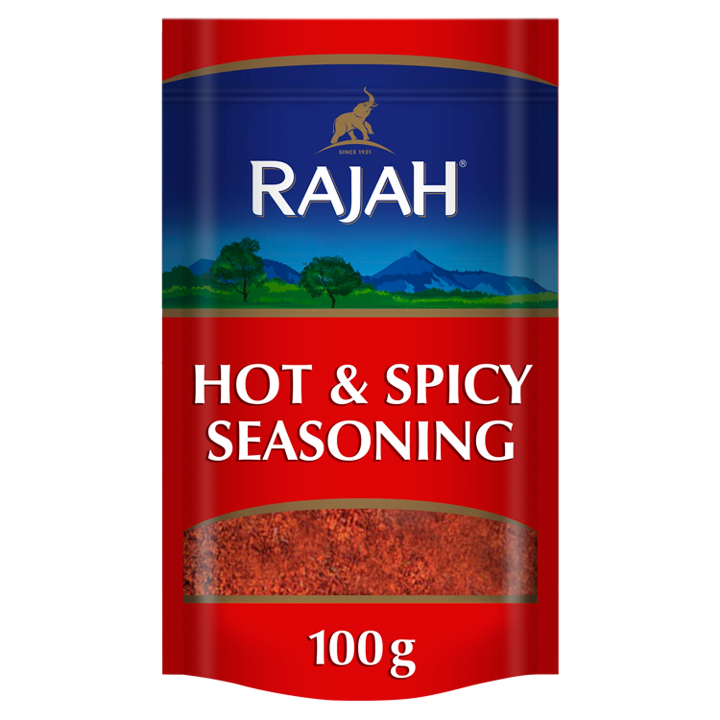 Rajah Hot Spicy Seasoning 100g 93513 T596 ?$pdpzoom$