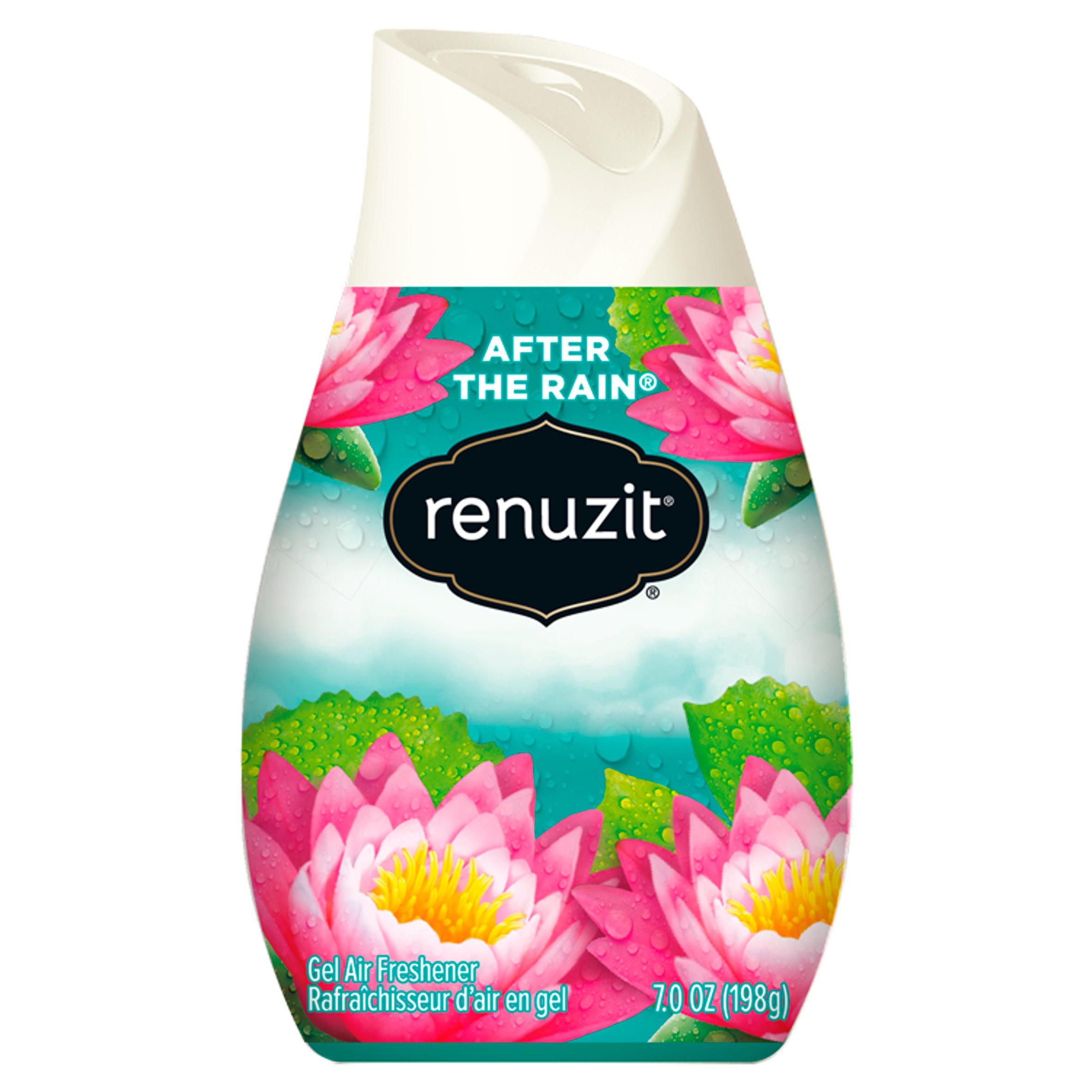 Renuzit Gel Air Freshener After the Rain 198g Home Accessories